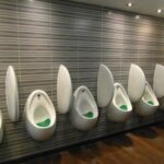 Read more about the article Shy Bladder: Why Is It Harder to Pee When Someone Is Waiting?