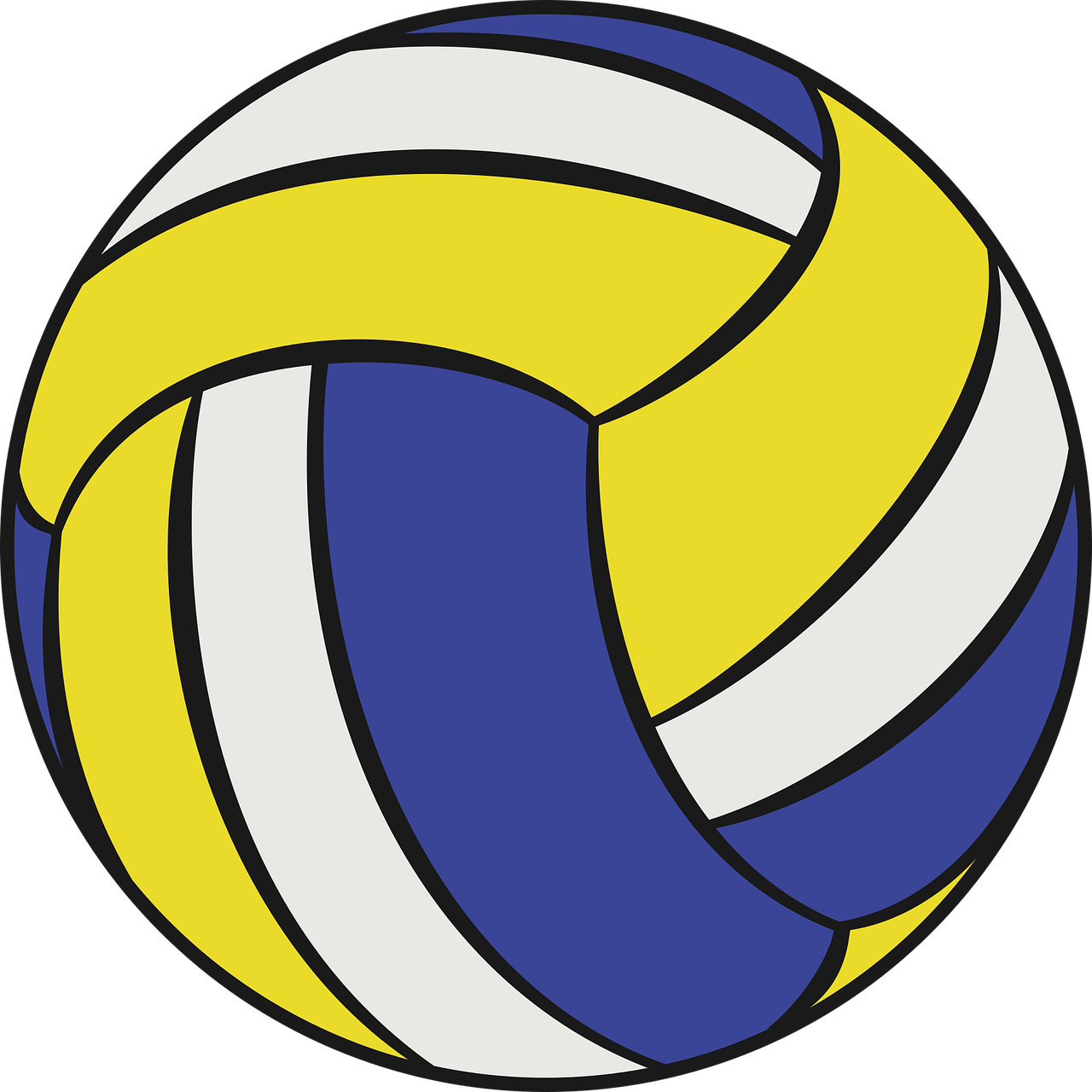 You are currently viewing Vollyball Lesson